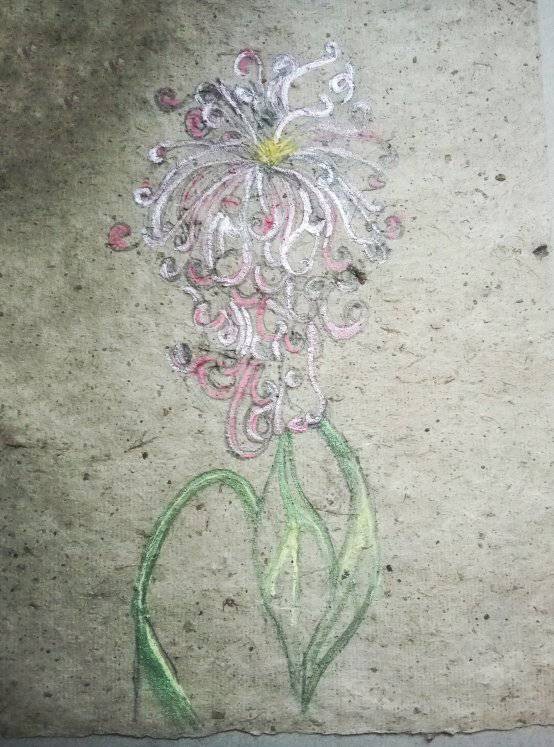 Bloom