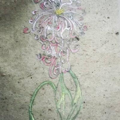 Bloom